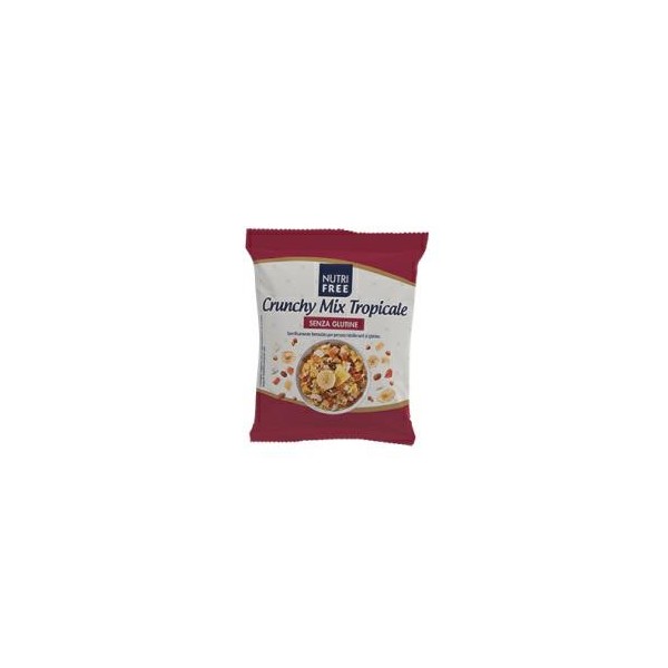 KNUSPRIGE MISCHUNG TROPISCHES MÜSLI GR.40 NUTRIFREE(CT 20PZ)S/GLUTIN