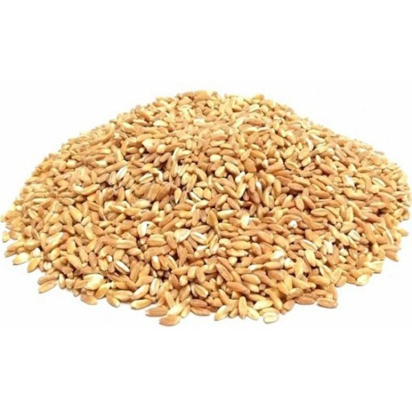 Farro perlato kg.1 amio (ct 10pz)