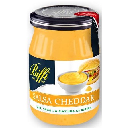SALSA CHEDDAR GR.490 BIFFI